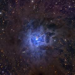 NGC 7023: The Iris Nebula