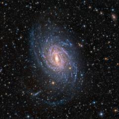 Spiral Galaxy NGC 6744