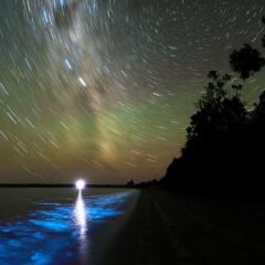 A Luminous Night
