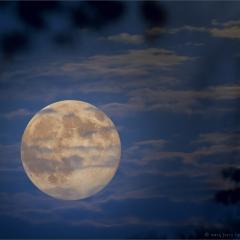 Surreal Moon