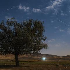 Perseid in Moonlight
