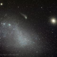 Cloud, Clusters and Comet Siding Spring