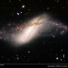 Polar Ring Galaxy NGC 660