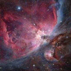 At the Heart of Orion