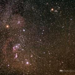 The Hunter, the Bull, and Lovejoy