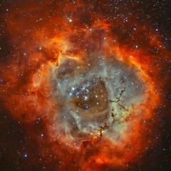 The Rosette Nebula in Hydrogen and Oxygen
