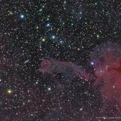 Cometary Globule CG4