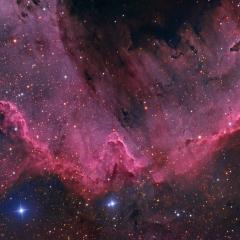 Along the Cygnus Wall