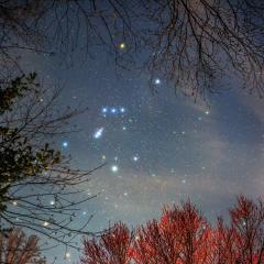 Orion Spring