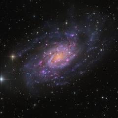 NGC 2403 in Camelopardalis
