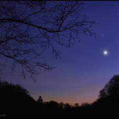 Venus in the West