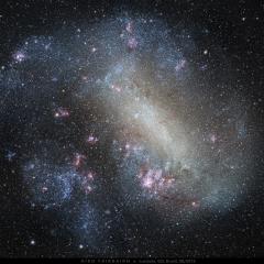 The Large Cloud of Magellan