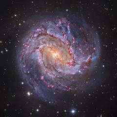 M83: The Thousand Ruby Galaxy