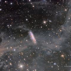 Galaxy, Stars, and Dust