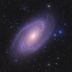 Bright Spiral Galaxy M81