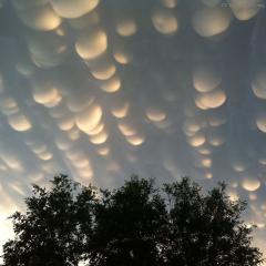 Mammatus Clouds Over Saskatchewan