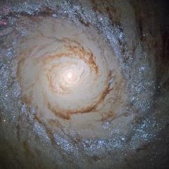 Starburst Galaxy Messier 94