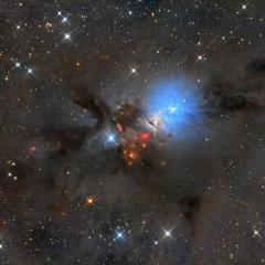 NGC 1333: Stellar Nursery in Perseus