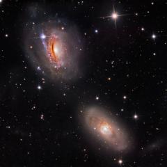 Unraveling NGC 3169
