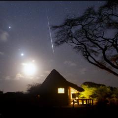 Kenya Morning Moon, Planets and Taurid