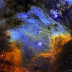 The Pelican Nebula in Gas Dust and Stars