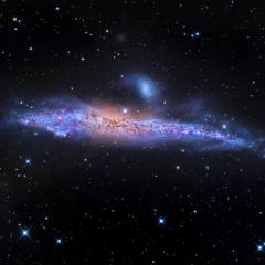 Star Streams and the Whale Galaxy