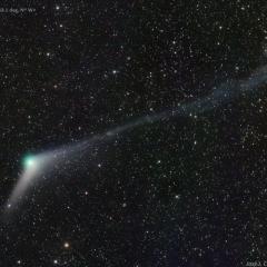 Comet Catalina Tails