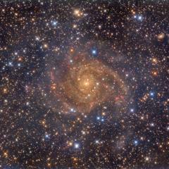 Hidden Galaxy IC 342