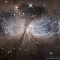 Star Forming Region S106