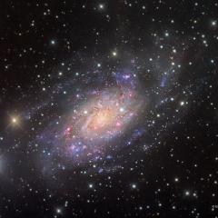 NGC 2403 in Camelopardalis