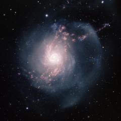 NGC 3310: A Starburst Spiral Galaxy