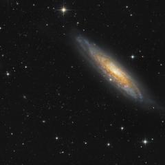 Sculptor Galaxy NGC 134
