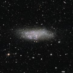Wolf-Lundmark-Melotte