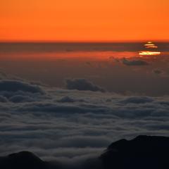 A Green Flash of Spring