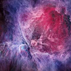 The Orion Nebula in Visible and Infrared