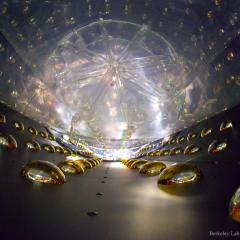 Inside a Daya Bay Antineutrino Detector