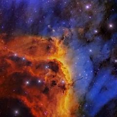 IC 5067 in the Pelican Nebula