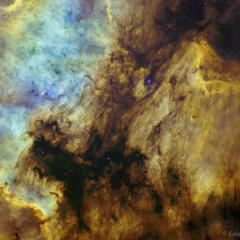 The North America and Pelican Nebulas