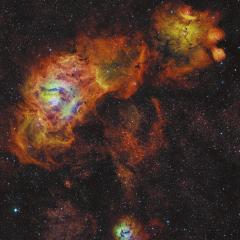 Sagittarius Sunflowers
