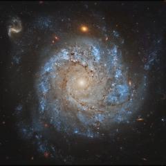NGC 1309: Spiral Galaxy and Friends