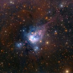 Young Suns of NGC 7129