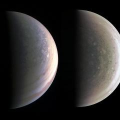 The North and South of Jupiter
