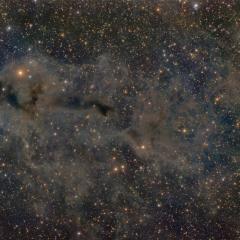 Lynds Dark Nebula 1251