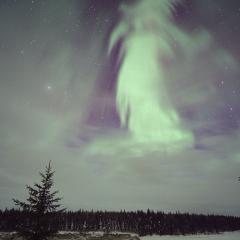 Ghost Aurora over Canada