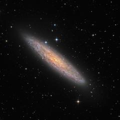 NGC 253: Dusty Island Universe