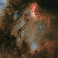 IC 5070: A Dusty Pelican in the Swan