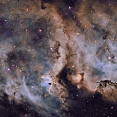 W5: The Soul of Star Formation