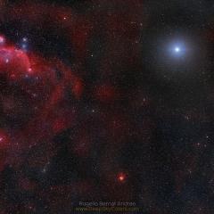Seagull to Sirius