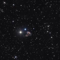 Peculiar Galaxies of Arp 273