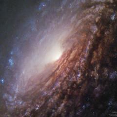 In the Center of Spiral Galaxy NGC 5033
